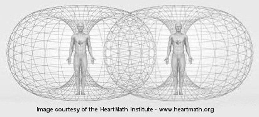 book Heart elect field